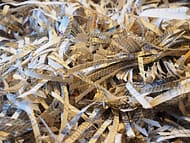 paper