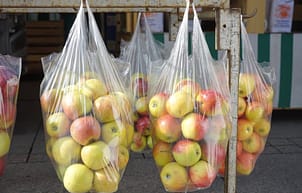 fruits in bags