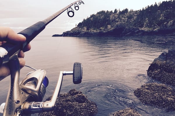 Fishing pole held by a hand