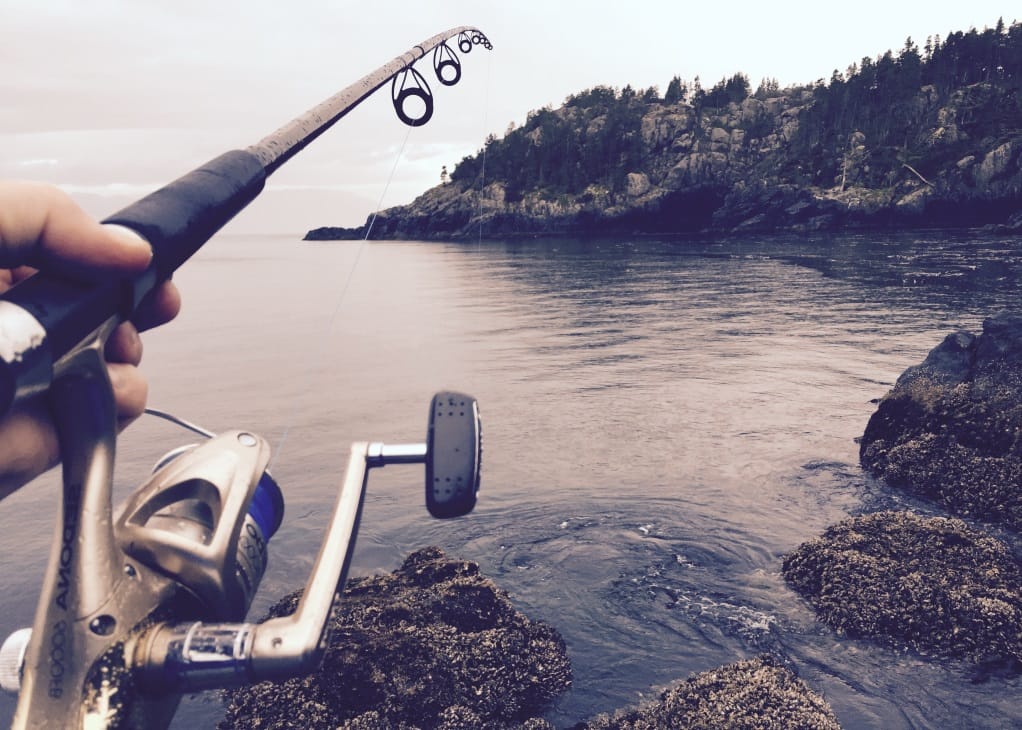 Important Fishing Pole Buying Tips Fishing pole held by a hand