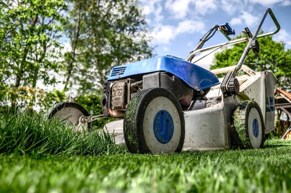 How to buy the best lawn mower Lawn mower