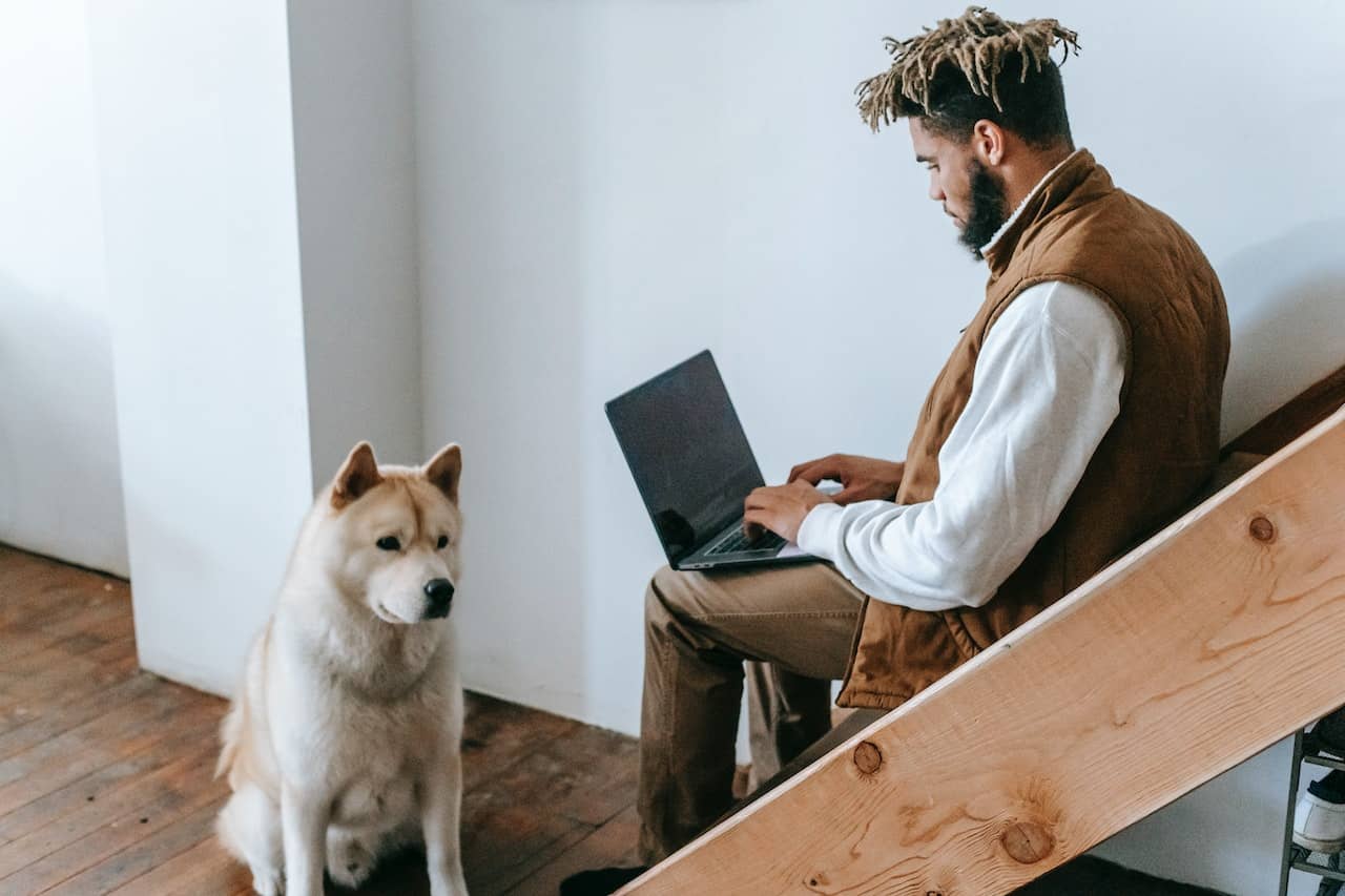 Remarkable Benefits of Online Dog Training for Busy Moms dog